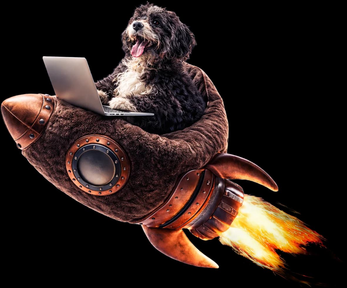 Dog with a laptop flying a rocket - launching your website